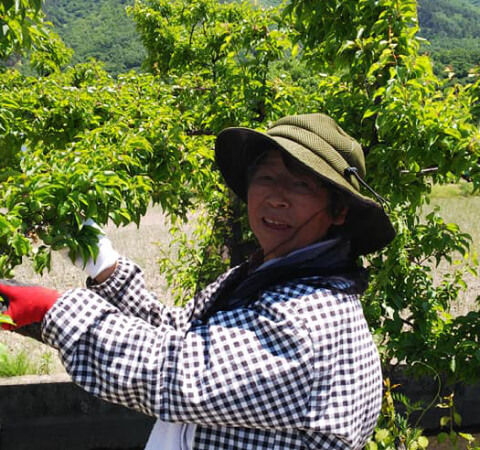 手づくり工房　旬な菜